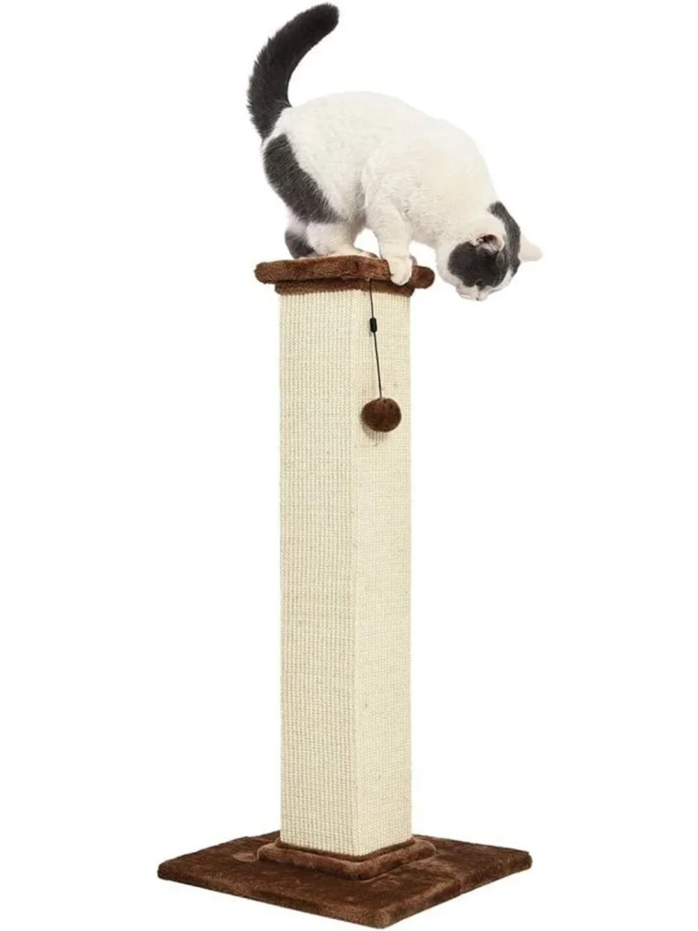 Sturdy Cat Scratching Post for Indoor Cats & Kittens, 35.4” Tall, Sisal Rope